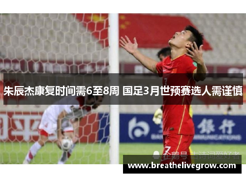 朱辰杰康复时间需6至8周 国足3月世预赛选人需谨慎