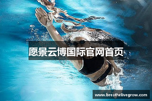 愿景云博国际官网首页